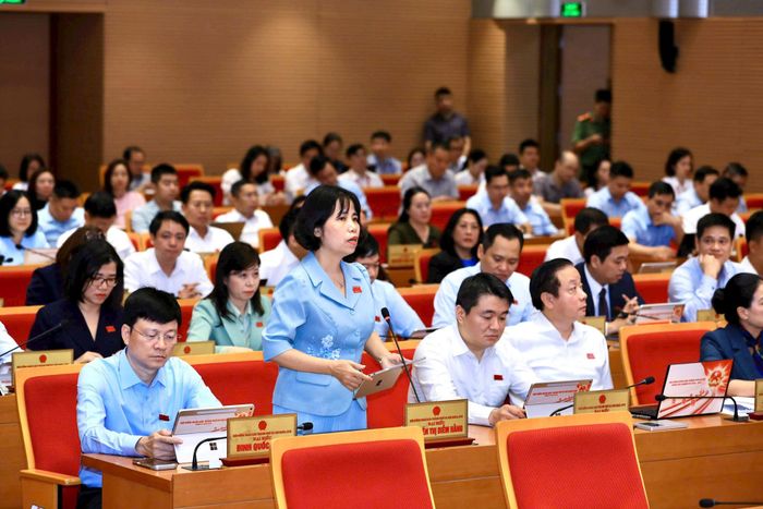 Đại biểu Nguyễn Thị Diễm Hằng (Tổ đại biểu số 12) đặt câu hỏi chất vấn.