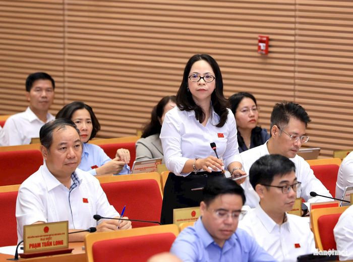 Đại biểu đặt câu hỏi. Ảnh: Quanh Thái