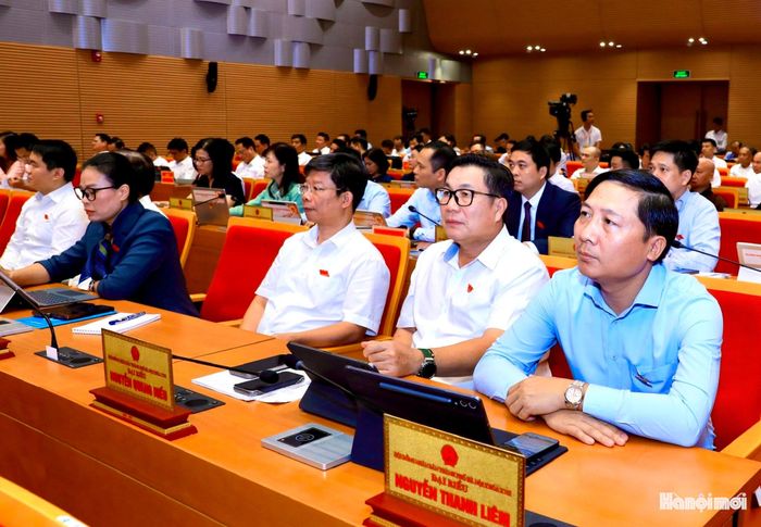 Các đại biểu dự phiên chất vấn.