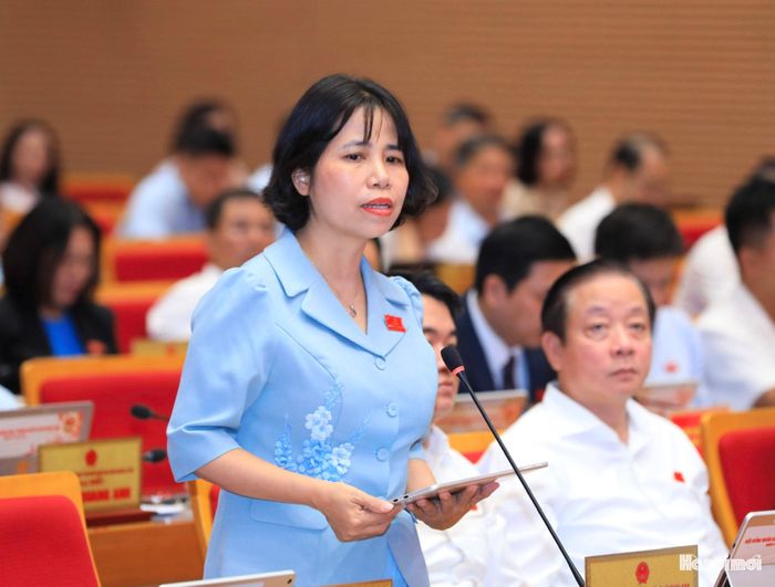 Đại biểu Nguyễn Thị Diễm Hằng đặt câu hỏi chất vấn.