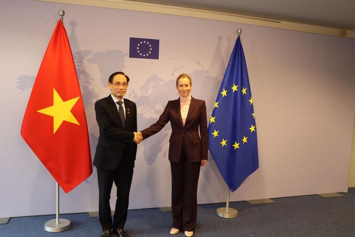 Bộ trưởng Bộ Ngoại giao Lê Hoài Trung và Phó Chủ tịch Ủy ban châu Âu, Đại diện cấp cao EU về Chính sách Đối ngoại và An ninh Kaja Kallas. Ảnh: Bộ Ngoại giao