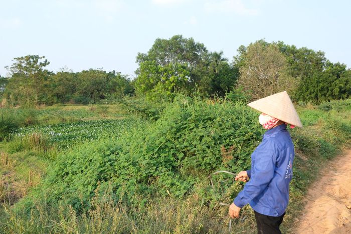 Việc bố trí kinh phí bồi thường hỗ trợ tái định cư kịp thời cho cư dân, sẽ góp phần đẩy nhanh tiến độ triển khai dự án Khu Công nghiệp sạch Sóc Sơn. Ảnh Sỹ Hào