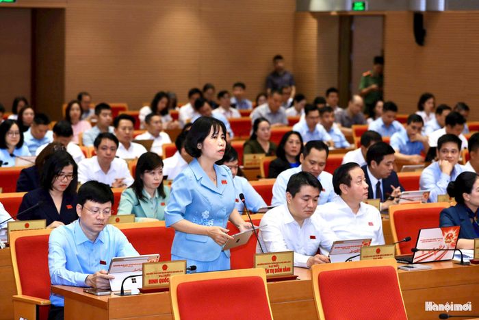 Đại biểu HĐND thành phố đặt câu hỏi với lãnh đạo Sở Nông nghiệp và Môi trường về vấn đề môi trường Ảnh: Quang Thái