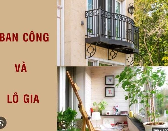 Lô gia và ban công là nơi lý tưởng để trồng cây xanh, tạo không gian xanh mát và gần gũi với thiên nhiên.