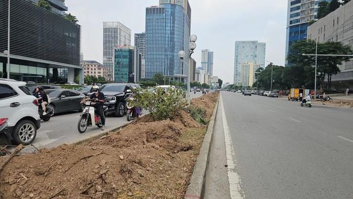 Dải phân cách đường Dương Đình Nghệ nhiều cây xanh đã được di dời đi.