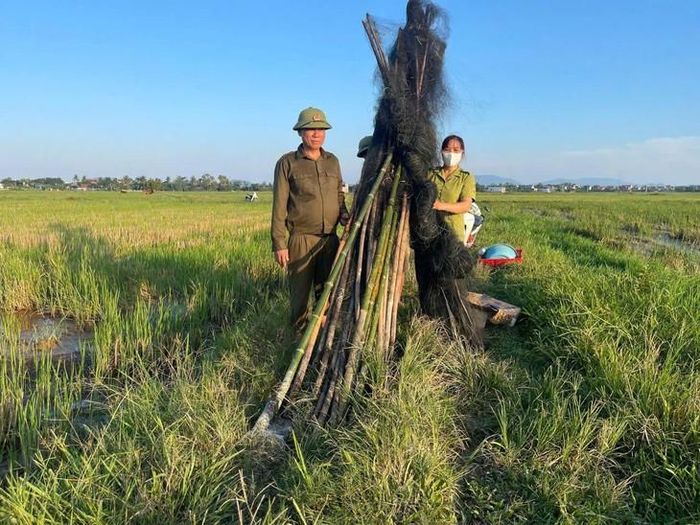Tịch thu, xử lý, tiêu hủy nhiều dụng cụ được người dân dùng để bẫy bắt chim trời. Ảnh: Gia Hân.