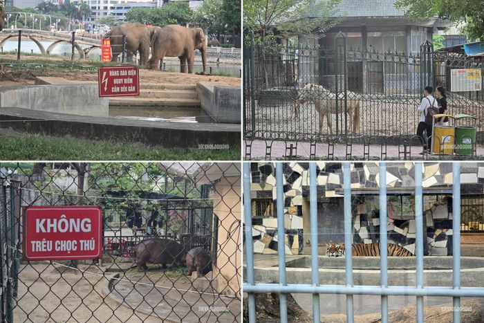 Một số chuồng nuôi thú dữ được treo biển cảnh báo an toàn. Ảnh: Tuấn Anh