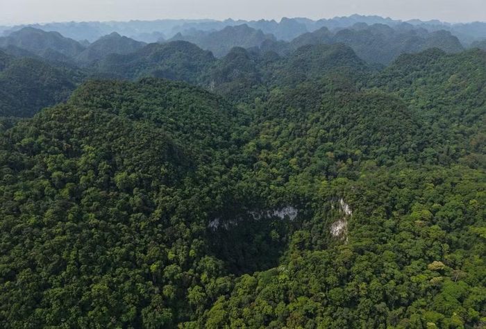 Miệng hố sụt hình bầu dục, các vách đá đổ xuống gần như thẳng đứng. Ảnh: Jungle Boss.