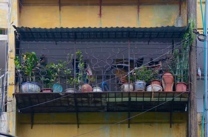 Bên góc ban công nhỏ, sắc xanh tươi của cây lá tạo sự tương phản độc đáo với chiếc xe đạp cũ và những chậu gốm nhuốm màu thời gian