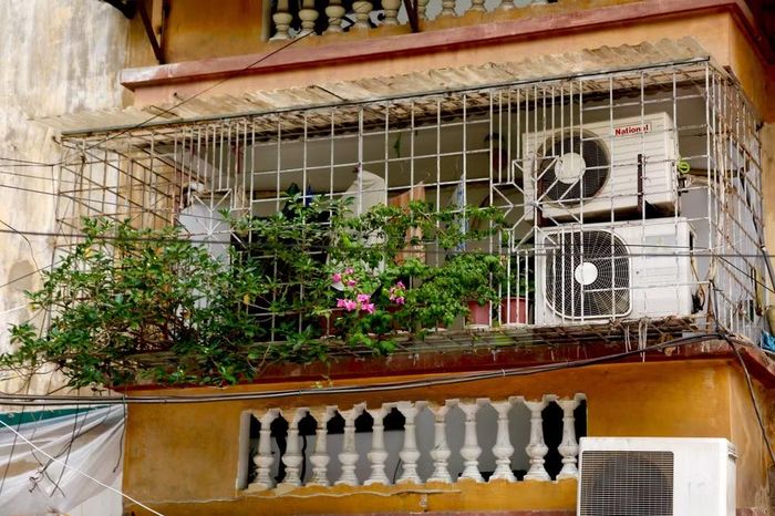 Những khóm hoa giấy hồng thắm mang sức sống của thiên nhiên, tô điểm hương sắc trên những mảng tường vôi vàng cũ kỹ