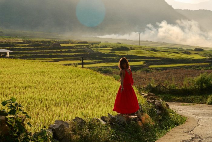 Ruộng bậc thang ở Sa Pa vào mùa lúa chín.