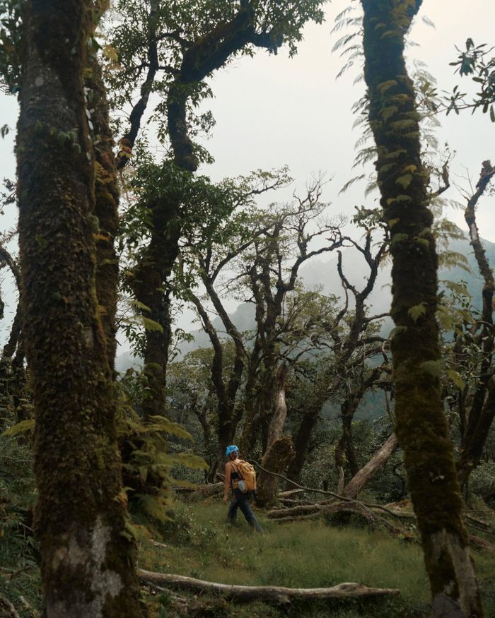 Tôi trekking đỉnh Tà Xủa Hồ cao 2.808 m.