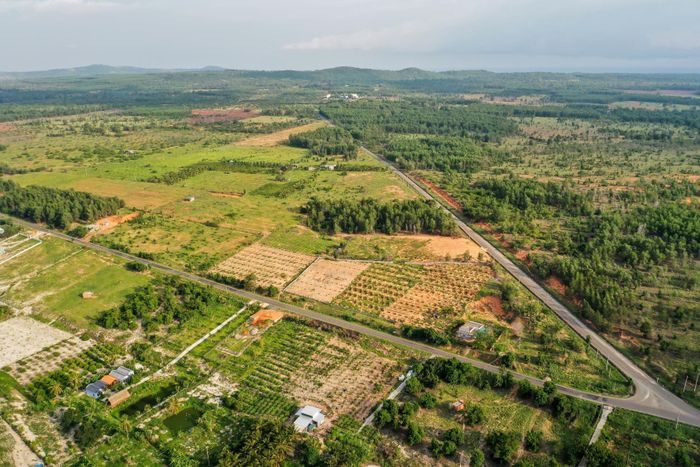  Đất bỏ hoang, đất không đưa vào sử dụng hoặc chậm đưa vào sử dụng sẽ bị đánh thuế cao gấp 7 lần đất ở trong hạn mức. Ảnh: Quỳnh Danh. 