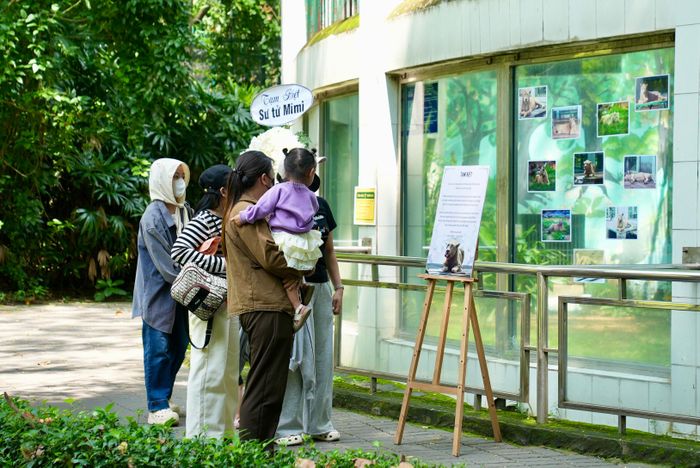 Người dân và du khách ghé chào tạm biệt Mimi lần cuối.