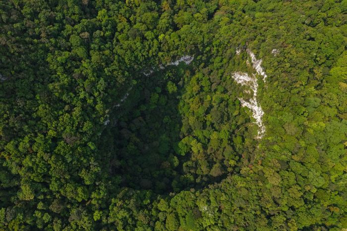  Theo đoàn thám hiểm, miệng hố có hình bầu dục, dài khoảng 190 m, rộng 140 m. Không gian bên trong hố dài khoảng 250 m, rộng 200 m, sâu 120 m. Ông Nguyễn Văn Úy, Phó giám đốc kiêm Giám đốc an toàn Jungle Boss, nhận định đây là một trong những hố sụt lớn nhất ông từng thấy sau hơn 20 năm đi rừng. Hố có dạng như chiếc bát úp ngược, mở rộng dần từ trên xuống. 