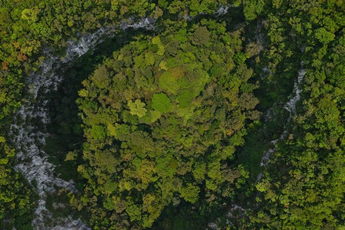  Hố sụt có diện tích khoảng 2,18 ha, nằm tại khoảnh 8, tiểu khu 603, thuộc phân khu bảo vệ nghiêm ngặt của VQG Phong Nha - Kẻ Bàng. BQL cho biết thông tin về hố sụt bổ sung tư liệu thực địa về địa hình núi đá vôi trong khu vực, cũng là cơ sở để nghiên cứu sâu hơn về đặc điểm địa chất, địa mạo và quá trình biến đổi địa hình. 