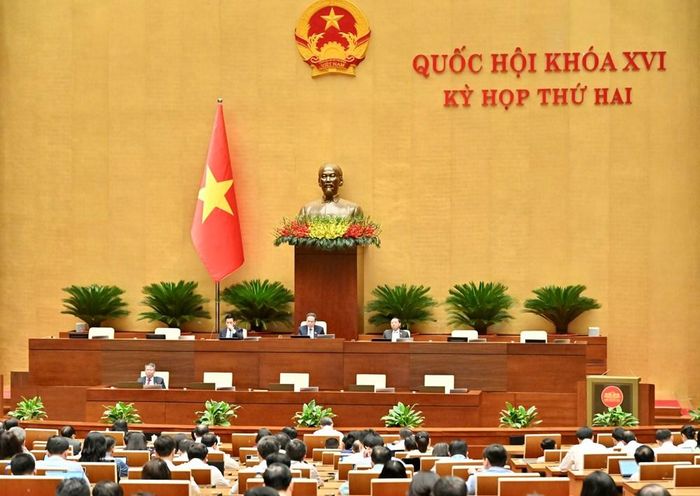Quốc hội nghe tờ trình và báo cáo thẩm tra về các dự án Luật Đất đai (sửa đổi), Luật Nhà ở (sửa đổi) và Luật Kinh doanh bất động sản (sửa đổi)
