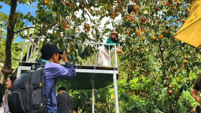 Có khá đông du khách tìm đến quán