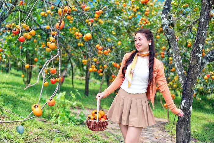 Các "nàng thơ" tha hồ tạo dáng giữa vườn hồng tòa trái là trái