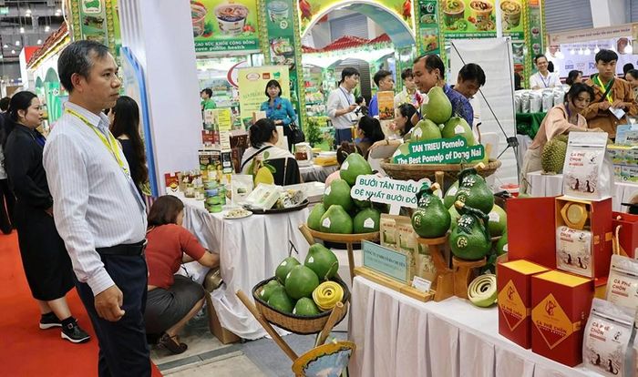 Hơn 400 doanh nghiệp tham gia Hội chợ Hàng Việt Nam tiêu biểu xuất khẩu năm 2026