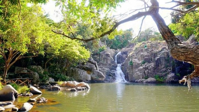 Hành trình famtrip với các trải nghiệm thiên nhiên tại Vườn quốc gia Núi Chúa, khám phá Vườn nhà bà Hương - suối Lồ Ồ