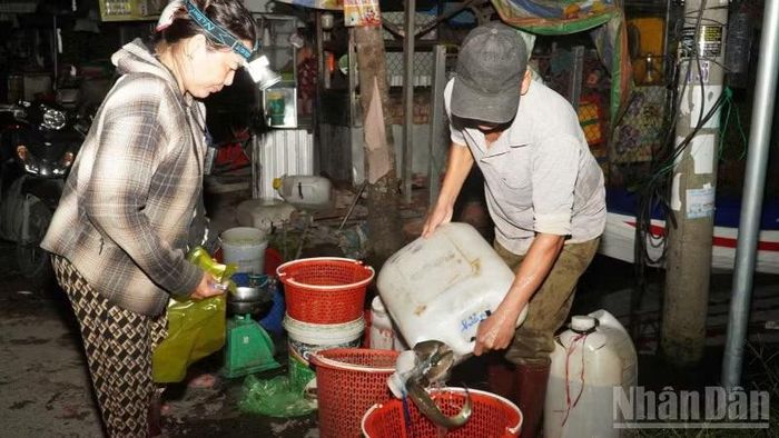 Không có những gian hàng dựng sẵn, khu chợ trải dài một bên giáp đường, một bên giáp sông. (Ảnh: VĂN ÚT)