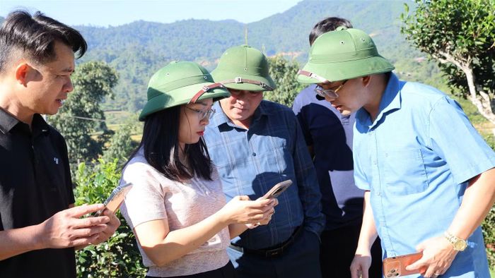 Lãnh đạo xã Đồng Phúc kiểm tra thực địa công tác chuẩn bị tham gia Festival Trà quốc tế năm 2026. (Ảnh: Ủy ban nhân dân xã Đồng Phúc)