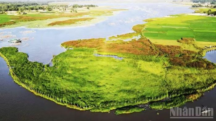Một góc khu vực Bãi Sậy-Sông Đầm ở phường Bàn Thạch. (Ảnh: BT)