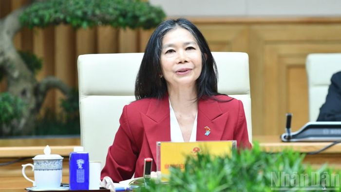 Bà Pauline Tamesis, Điều phối viên Thường trú Liên hợp quốc tại Việt Nam, phát biểu ý kiến tại buổi tiếp. (Ảnh: THANH GIANG)