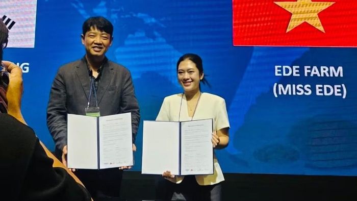 Đại diện Miss Ede ký kết biên bản ghi nhớ với đối tác Hàn Quốc. (Ảnh: CỘNG TÁC VIÊN)