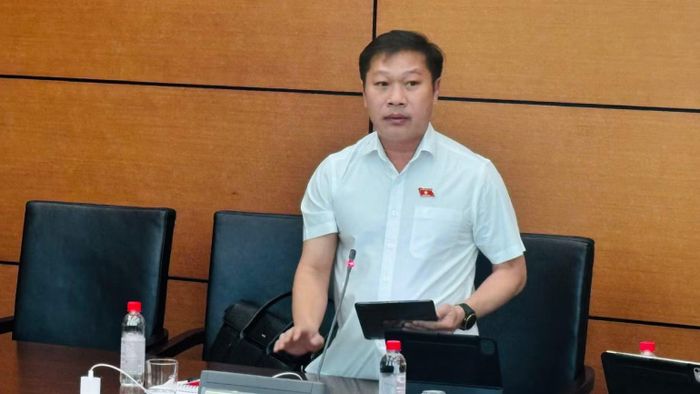 Đại biểu Nguyễn Khánh Vũ (Đoàn Quảng Trị) phát biểu tại tổ. (Ảnh: TL)