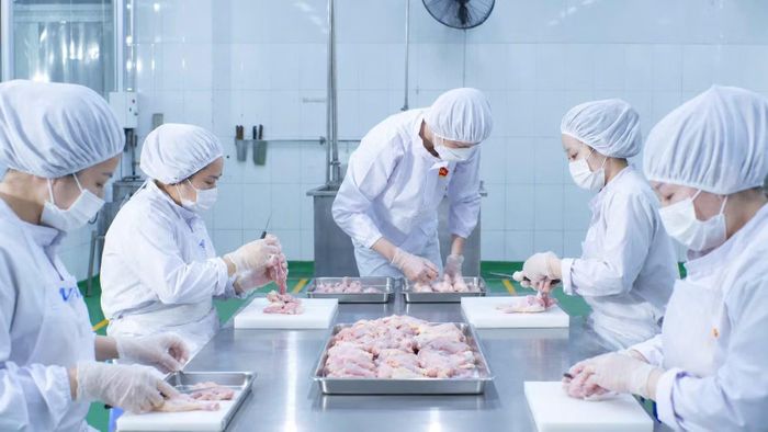Một doanh nghiệp trong lĩnh vực chế biến thực phẩm xuất khẩu. (Ảnh: QUANG QUÝ)