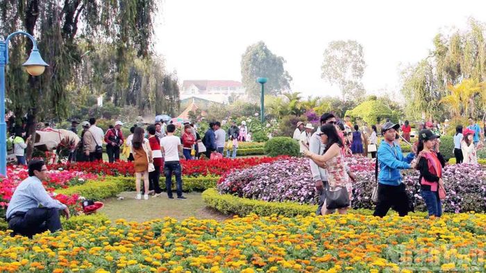 Du khách trải nghiệm xứ ngàn hoa Đà Lạt. (Ảnh: BẢO VĂN)