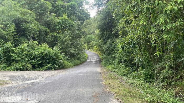 Buôn Đrang Phốk nằm cách trường chính 20km và chỉ có một con đường độc đạo dẫn vào buôn. (Ảnh: CÔNG LÝ)