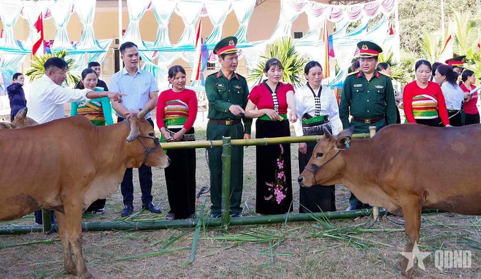 Đoàn Kinh tế-Quốc phòng 732 trao bò giống tặng người lao động và nhân dân trên địa bàn. Ảnh: NGUYỄN THÚY 