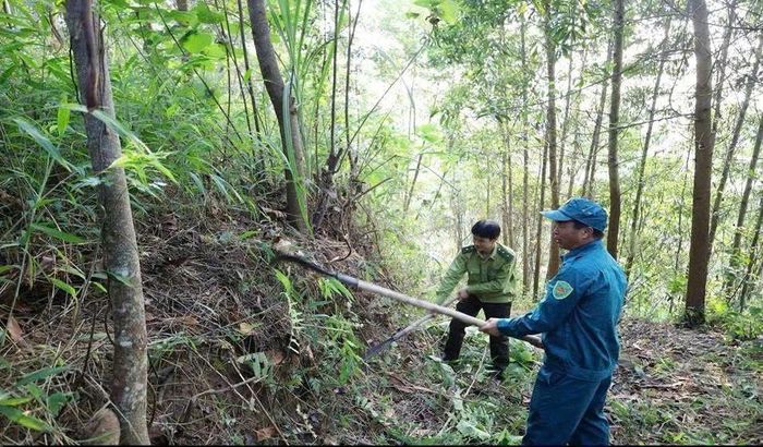 Lào Cai sẵn sàng ứng phó nguy cơ cháy rừng.