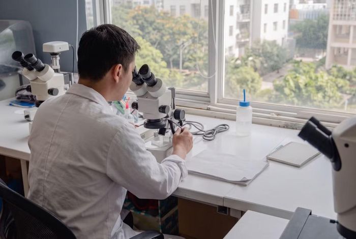 Nhiều trường đại học thưởng mạnh tay cho giảng viên có các công bố quốc tế. (Ảnh minh hoạ)