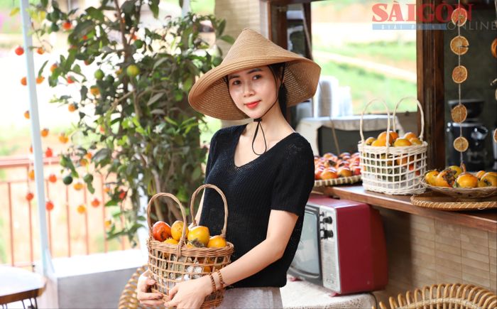  Vừa mang lại nguồn thu cho người trồng, mùa hồng còn mở ra cơ hội kết nối nông nghiệp với du lịch 