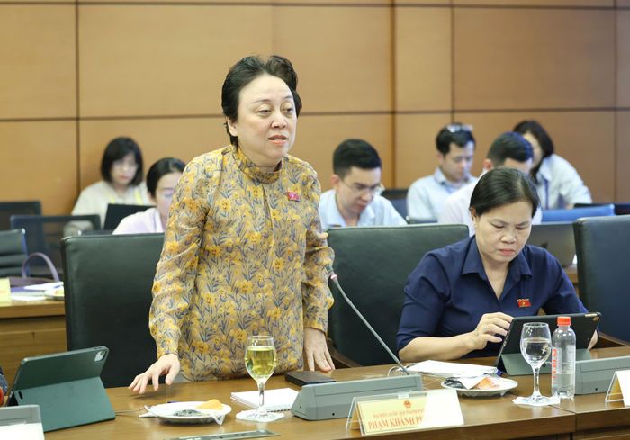  ĐB Phạm Khánh Phong Lan phát biểu thảo luận tại tổ, chiều 23-10. Ảnh: QUANG PHÚC 