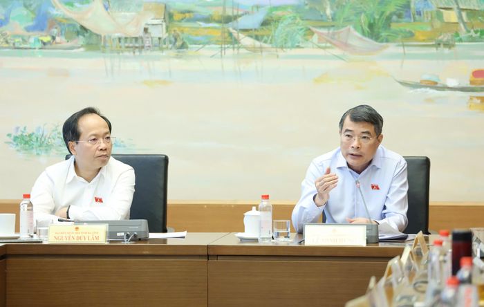 Thủ tướng Lê Minh Hưng phát biểu thảo luận tại tổ, chiều 23-10. Ảnh: QUANG PHÚC