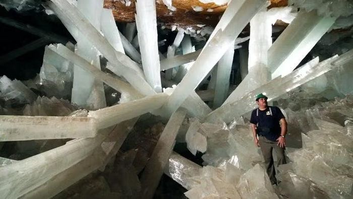 Những tinh thể thạch cao khổng lồ tại Naica, có cột dài tới khoảng 11 m. Ảnh: Javier Trueba / Madrid Scientific Films – National Geographic.