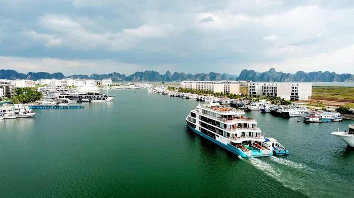 Nghị quyết số 20-NQ/TW ngày 28/7/2026 về xây dựng và phát triển Việt Nam trở thành quốc gia biển mạnh không chỉ xác định mục tiêu, nhiệm vụ mà còn mở ra một tầm nhìn chiến lược dài hạn. (Nguồn: Báo Quảng Ninh)