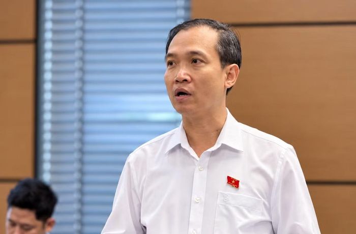 Đại biểu Nguyễn Duy Tiến. Ảnh: HN