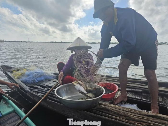  Công việc bám mặt nước trên đồng lũ của vợ chồng ông Dính bắt đầu từ 4 - 10h sáng mỗi ngày. Có hôm trúng đàn cá vợ chồng ông sẽ kéo dài thời gian thả lưới tới đầu giờ chiều. Theo ông Dính, vào những ngày thời tiết thuận lợi, hai vợ chồng đánh bắt được khoảng 10 - 15kg cá các loại, đem chợ bán được từ 350.000 - 500.000 đồng. 