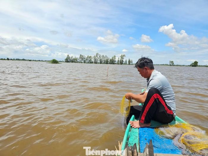 Mùa nước nổi giúp những cánh đồng tích tụ thêm phù sa, thau chua, rửa mặn, vừa mang lại nguồn lợi thủy sản cho người dân tại xã Tam Nông, tỉnh Đồng Tháp nhiều đời qua.