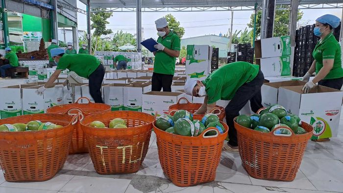 Muốn tăng trưởng, cần bắt đầu từ việc tháo gỡ các khó khăn, vướng mắc doanh nghiệp đang gặp hằng ngày. Ảnh: Thu Hà