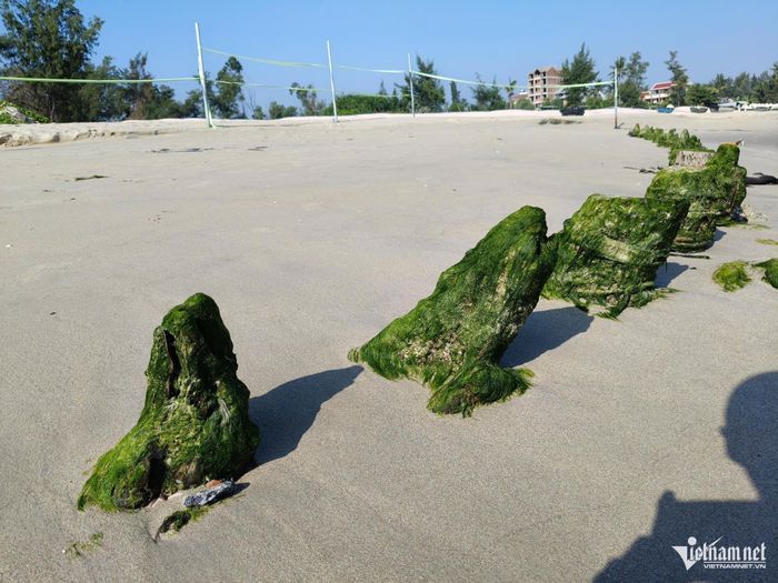 Đến thời điểm này, tàu cổ đã bị cát phủ lấp đáng kể, không còn hiện rõ như thời điểm ban đầu.