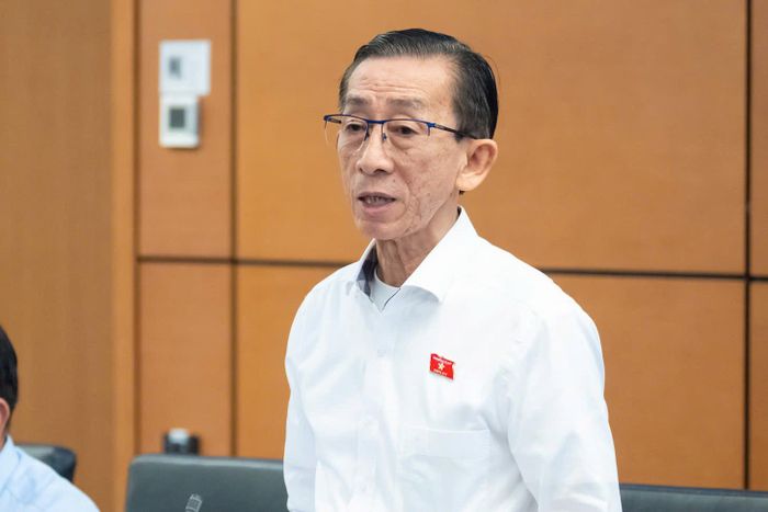 Đại biểu Trần Hoàng Ngân