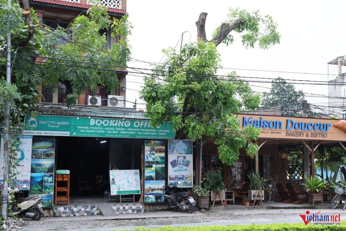 Nhiều biển hiệu, quảng cáo của các hộ kinh doanh dịch vụ tại Tam Cốc sử dụng tiếng nước ngoài.