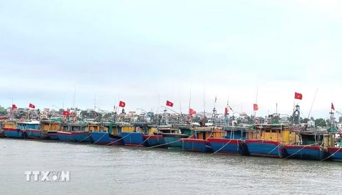 Quảng Trị còn hàng chục tàu cá chưa đủ điều kiện hoạt động, cùng những nguy cơ vi phạm trong quá trình khai thác trên biển. (Ảnh minh họa: Võ Dung/TTXVN)